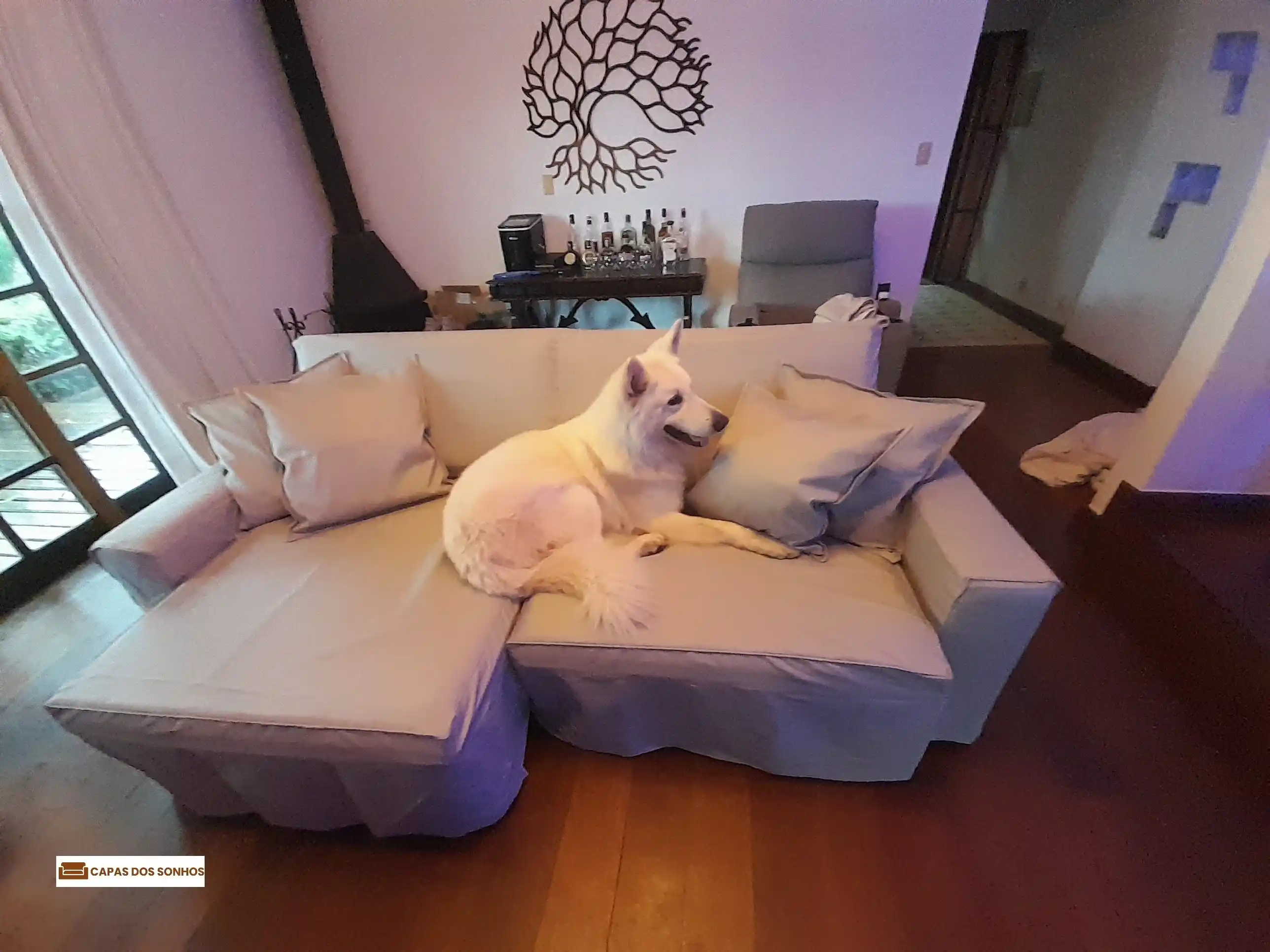 Capas resistentes para pets